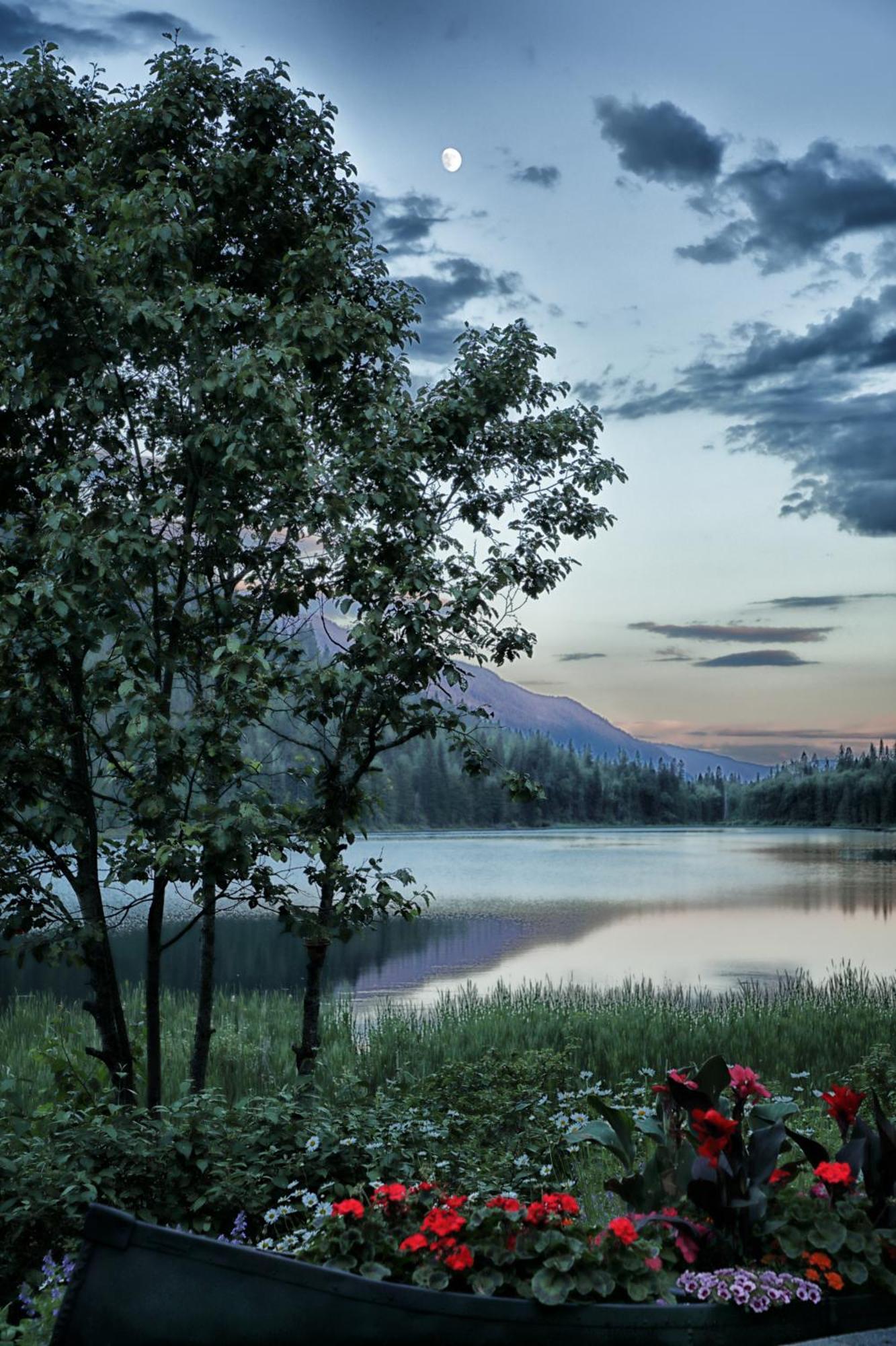 Alpine Meadows Resort 클리어워터비치 외부 사진
